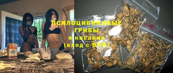 соль ск Горнозаводск