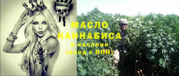 2c-b Горняк