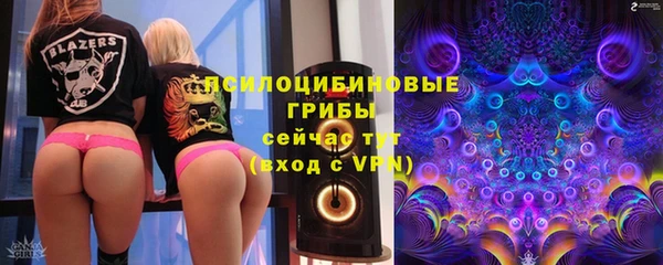 2c-b Горняк