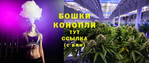 соль ск Горнозаводск