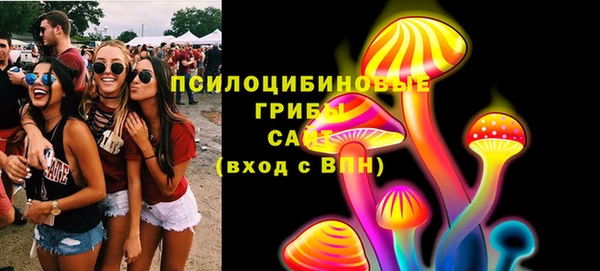 соль ск Горнозаводск