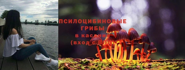 соль ск Горнозаводск